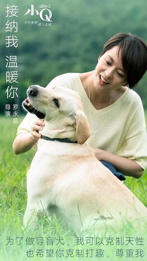 买个假杰克逊维尔州立大学文凭毕业证